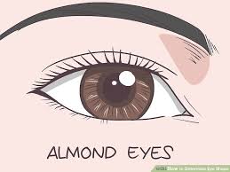 How To Determine Eye Shape With Pictures Wikihow