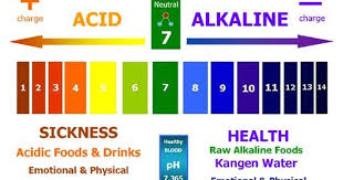 Kangen Water Ph Balance Chart Www Aguabygrace Com Ph