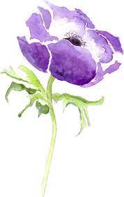Finish your flower by drawing a stem that extends down from the circle and then adding 2 leaves on each. Purple Flower Watercolor Painting How To Draw A Rose Step By Step White Background Flower Drawing Flower Art Painting Watercolor Flowers