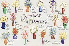 meaning of flowers flower age