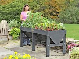 Vegetable Garden Ideas In Containers