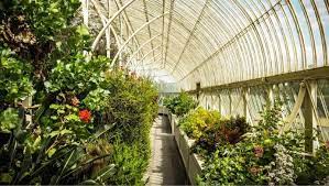 botanic gardens dublin a handy 2024 guide