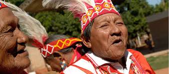 It has continued to thrive, even after countless other . Reconocen Como Comunidad Indigena A Pueblo Descendiente De Los Guaranies El Federal Conciencia Colectiva