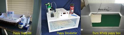 Lifeline pet supplies puppy kitten pet incubator icu with digital humidity. Newborn Care Facility Arizona S Best English Bulldogs