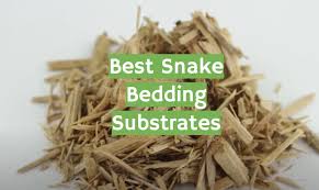 Top 5 Best Snake Bedding Substrates