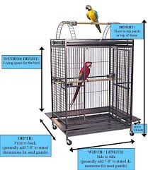 Bird Cages 4 Less Bird Cage Buying Guide
