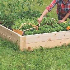 7 Benefits Of Raised Bed Gardening