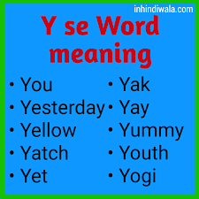 ज न ए y स word y se word meaning
