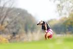 Mandan leads the way after Day 1 of North Dakota state girls golf ...