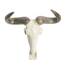 Litton Lane Polystone White Skull Cow