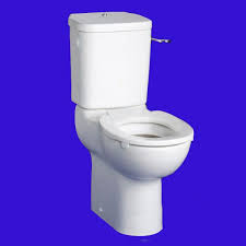 Toilet Seat Contour 21 Standard Toilet