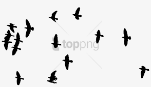 free png flock of birds silhouette png