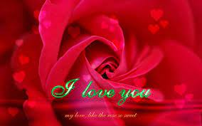 i love you rose wallpapers wallpaper cave
