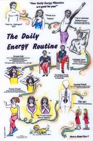 Donna Eden Energy Medicine Guidebook And Cards