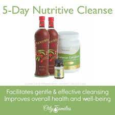 5 day cleanse