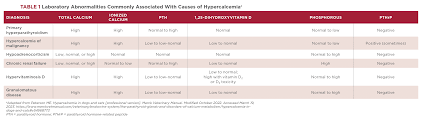 hypercalcemia in dogs today s