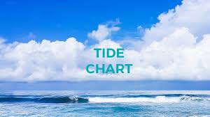 True To Life Holden Beach Tide Chart 2019 Double Bluff Beach