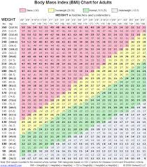 mass index chart bmi calculator