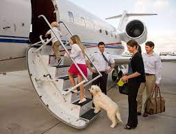 Pets are part of the family when it comes to private jet rental | Charter  Flights TEB | Air Charters