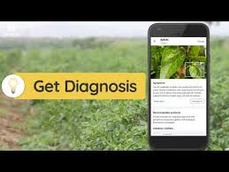 If you're looking for the best plant identification app, we have nine picks we tested and reviewed! Plantix Your Crop Doctor Apps On Google Play