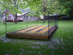 Diy Garden Fence Fenced Vegetable