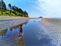 Olympic Peninsula Bucket List 13 Things Not To Miss On