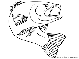 Download and print amazing basses coloring pages for free. Pin By Bull Gallery On Fish Fish Drawings Fish Coloring Page Fish Sketch