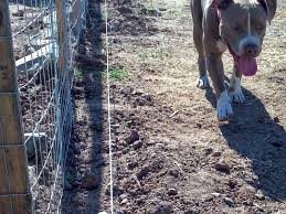 Diy Animal Electric Fence Hot Wire