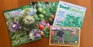 best 2022 garden catalogs and websites