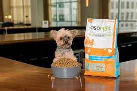 Here are the advisor's best dog foods… by category. Free Pet Samples Freebies Food Toys Hey It S Free