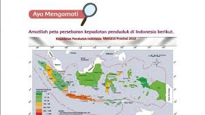 We did not find results for: Alternatif Kunci Jawaban Tema 1 Kelas 5 Organ Gerak Hewan Dan Manusia Tribun Padang