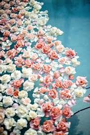 Maybe you would like to learn more about one of these? Floating Florals