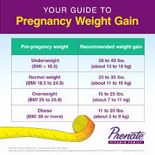 Baby Growth Chart Mayo Clinic Babyzone Pregnancy Chart
