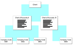 Chart Of Accounts List Sap Documentation