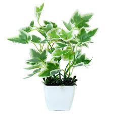 Somos la tienda online especializada que estás buscando. Planta Artificial Planta Verde Arte De Simulacion Floral Bonsai Falso Decoracion De La Oficina Interior O Exterior Regalo Para Cumpleanos Jardineria Plantas De Exterior