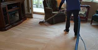 evoclean carpet upholstery cleaning