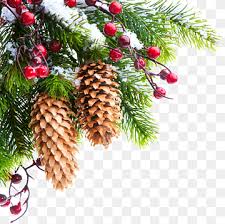 Download free christmas tree transparent images in your personal projects or share it as a cool sticker on tumblr, whatsapp, facebook messenger, wechat, twitter or in other messaging apps. New Year Tree Png Images Pngwing
