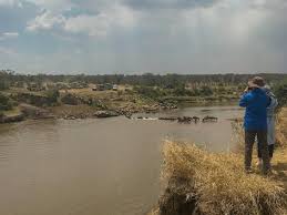 Image result for crossing the safari