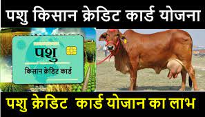 चंडीगढ़: देश में अगले एक सप्ताह में सभी आवेदकों को पशु किसान क्रेडिट कार्ड मुहैया करवा दिए जाएंगे: दलाल - Athrav - Online News Portal