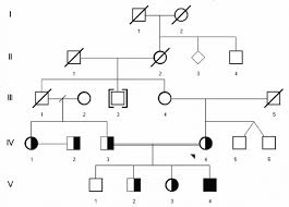 Pedigree Chart For Family With Five Generations Download