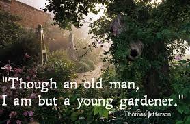 The best fertilizer is the gardener's shadow. Quotes About Garden Of Love 79 Quotes
