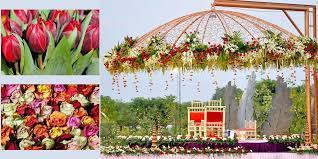 In the article of today we are going to present you flowers. Common Wedding Flowers Used To Decorate Mandaps