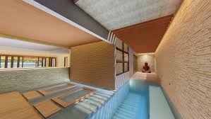 Basement Room With Its Own Lap Pool