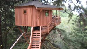 Right now, our average treehouse price is $275,000. Treehouse Masters Fined For Illegal Treehouse In Oregon