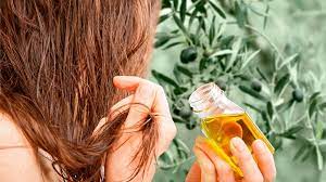 what olive oil can do for your hair health