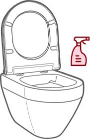 Proper Toilet Seat Cleaning And Care