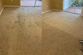 best carpet cleaning services ta fl