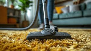 cleaning plush carpet