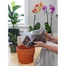 all purpose orchid potting mix 4