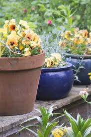 low maintenance garden pots